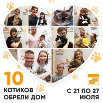Итоги работы Центра с 21 по 27 июля 2025г.
