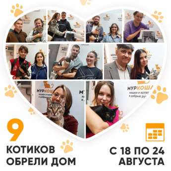 Итоги работы Центра с 18 по 24 августа 2025г.