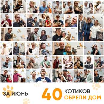 Итоги работы Центра в июне 2025 года.