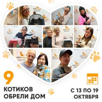 Итоги работы Центра с 13 по 19 октября 2025г. 
