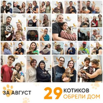 Итоги работы Центра в августе 2026 года. 
