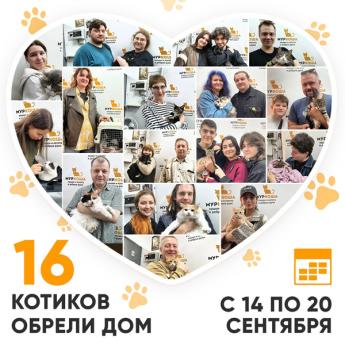 Итоги работы Центра со 14 по 20 сентября 2026г. 