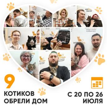 Итоги работы Центра с 20 по 26 июля 2026г. 