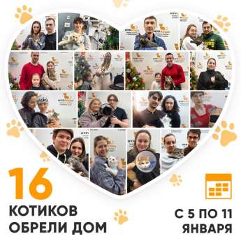 Итоги работы Центра с 5 по 11 января 2026г. 