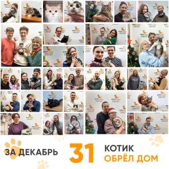 Итоги работы Центра в декабре 2025 года. 
