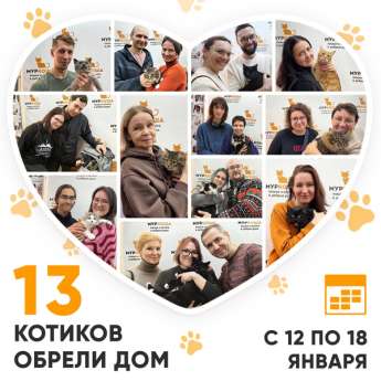Итоги работы Центра с 12 по 18 января 2026г. 