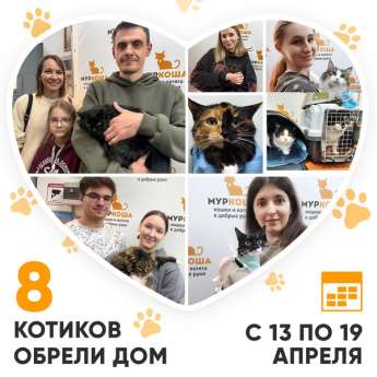 Итоги работы Центра с 13 по 19 апреля 2026г.
