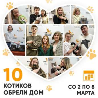 Итоги работы Центра со 2 по 8 марта 2026г.