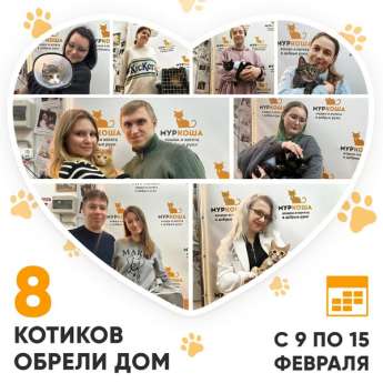 Итоги работы Центра с 9 по 15 февраля 2026г.