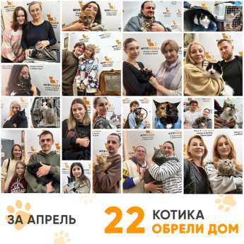 Итоги работы Центра в апреле 2026 года. 
