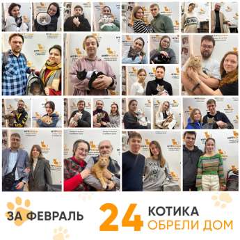 Итоги работы Центра в феврале 2026 года. 