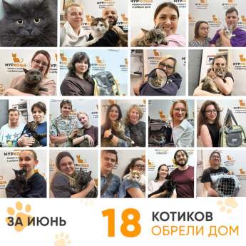 Итоги работы Центра в июне 2026 года. 
