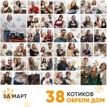Итоги работы Центра в марте 2026 года. 
