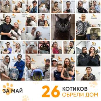 Итоги работы Центра в мае 2026 года. 