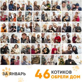 Итоги работы Центра в январе 2026 года. 