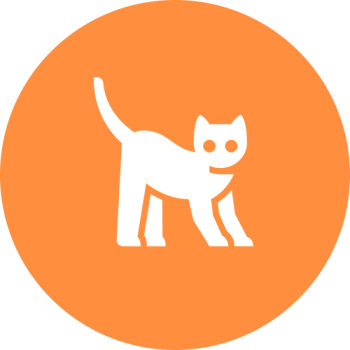 Поведение кошек