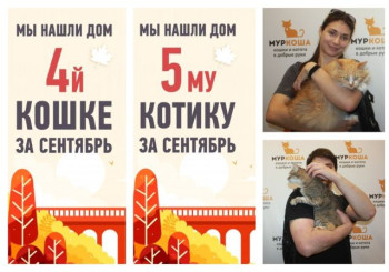 Счастье вдвойне: Гуля и Добряк уезжают в одну семью!