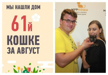 Мы нашли дом для малышки Майорики за месяц!