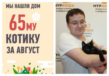 Двухлетний Сенечка поймал удачу за пушистый хвост!