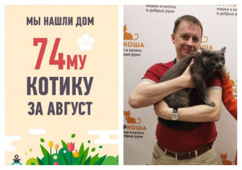 Спустя месяц в приюте новая семья появилась и у котика Локса!