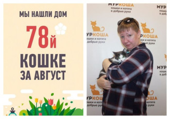 Счастливая история семимесячной кошки Люсечки!