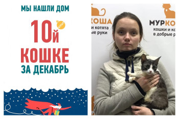 Кошка Вьюшка стала домашней спустя всего три недели в приюте!