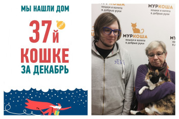У трехлетней кошки Фионы начинается новая жизнь!