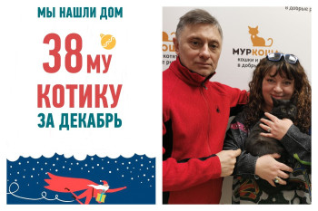 У котика Аса появилась любящая семья и уютный дом!