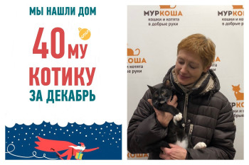 Котенок Радар рад познакомить вас со своей хозяйкой!