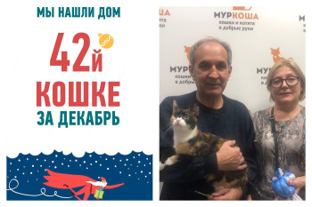 У кошки Кэндис появились заботливые хозяева!