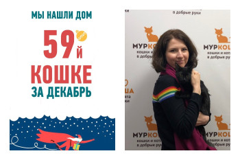Полугодовалая Бачата дождалась своего счастья!