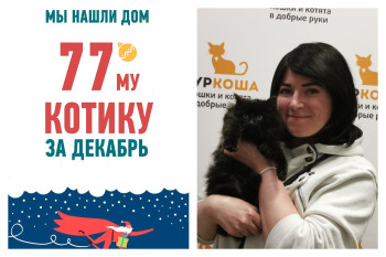 Чемпионом по скорости становится Шушун, ставший домашним всего за пять дней!