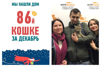 Спустя месяц уехала домой малышка Сплюшка!