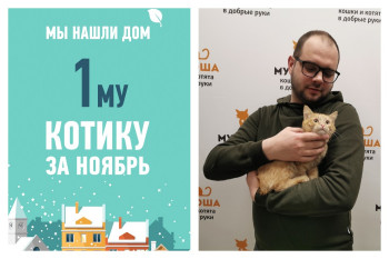 Пугливый Линкси обрел дом, в котором его будут любить всегда!