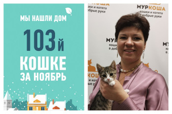 Малышка Черешня стала домашней любимицей!