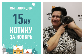 Кузимир провел в приюте всего две недели!