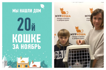 Долгожданное счастье шестилетней Марты!