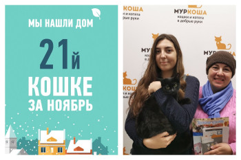 Двухлетняя Кротка поймала удачу за хвост!