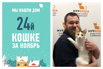 Арония узнает, что такое дом!