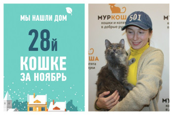 Исполнилось самое заветное желание Либхен!