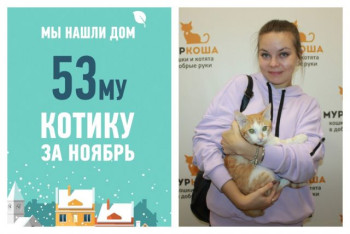 Говард вытянул счастливый билет!