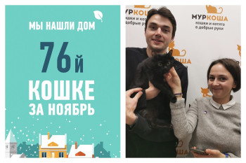 У кошки Гааги появились хозяева и уютный дом!