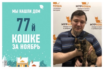 Отправилась домой вместе с новым хозяином кошка Муня!