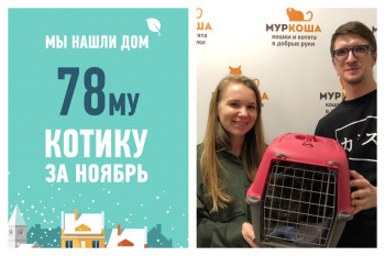Ура! У красавчика Конрадо появились любящие хозяева!