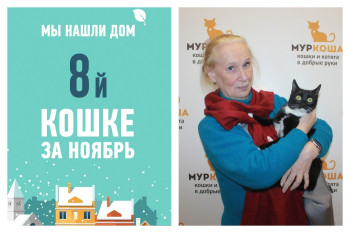 Красавица Шелби обрела свою хозяйку!