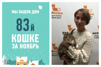 Провожаем домой двухлетнюю кошку Таську!