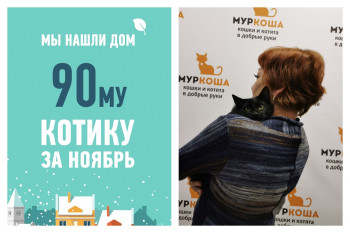 Домашнее счастье для котика Северьяна!