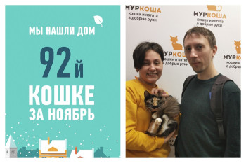 Кошка Незабудка рада познакомить вас с своими хозяевами!