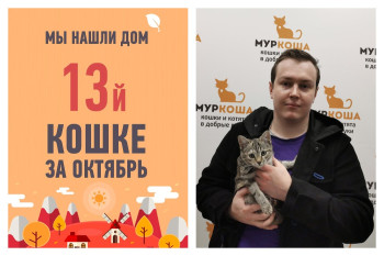 Всего 1,5 месяца на поиск дома для малышки Джули!