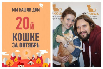 Кошка Сараби рада познакомить со своей суперсемьей!